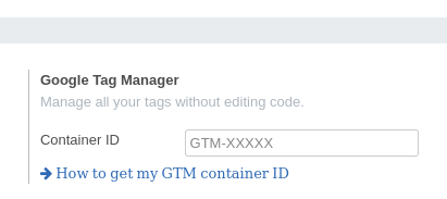 Google Tag Manager: Container ID
